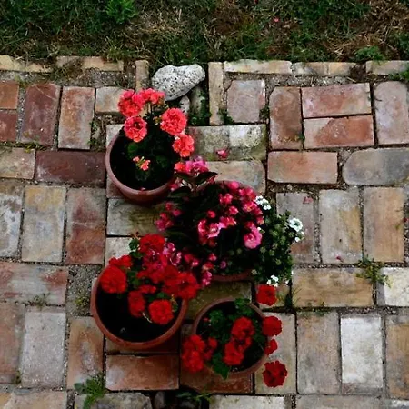 Bed & Breakfast Casale Fonte Vecchia