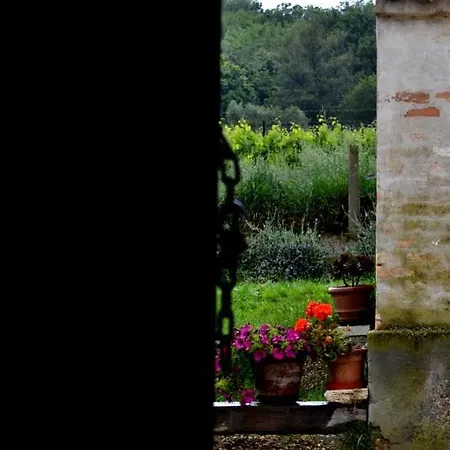 Casale Fonte Vecchia ベッド・アンド・ブレックファスト モンテプランドーネ
