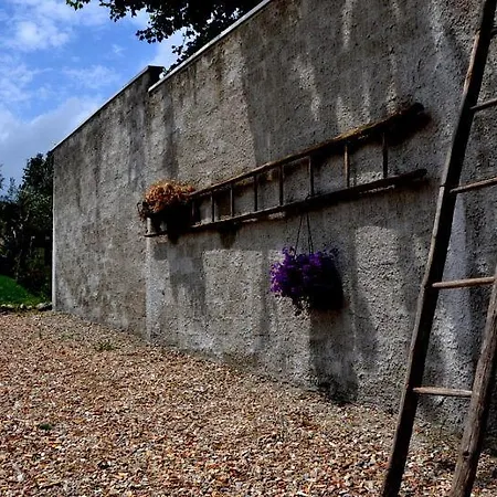 Casale Fonte Vecchia Bed & Breakfast